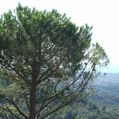 Panzió La Costa