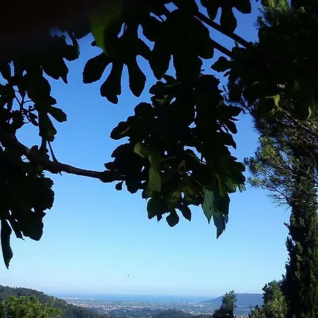 La Costa